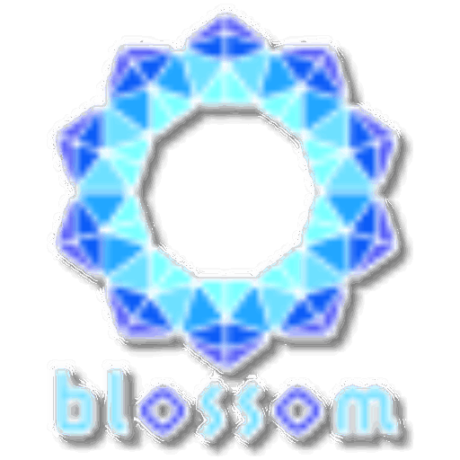 noix 運営サービス『blossom(ブロッサム)』のご紹介